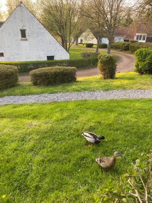 Apartamento Le Nid Du Cygne Houlle Exterior foto